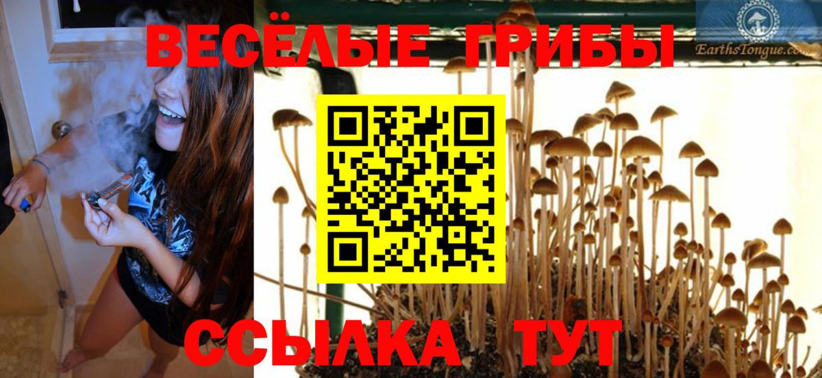Псилоцибиновые грибы прущие грибы  Вход с VPN  где найти   Славгород 