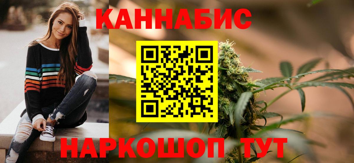 Конопля сатива Славгород